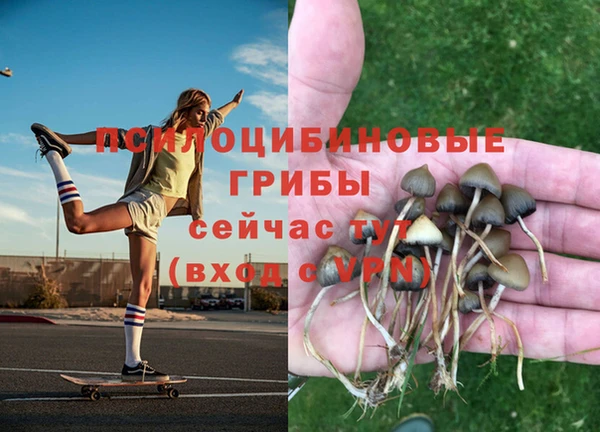 гашик Осинники