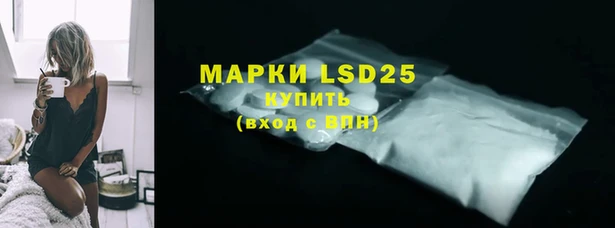 гашик Осташков