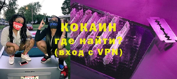 гашик Осинники