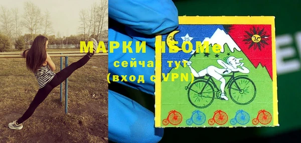 твердый Абаза