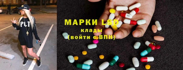 гашик Осташков