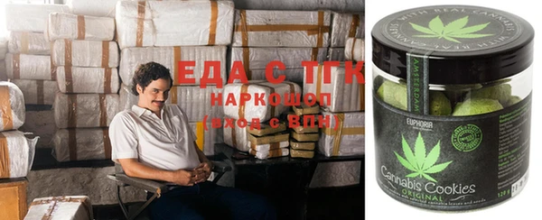 гашик Осташков