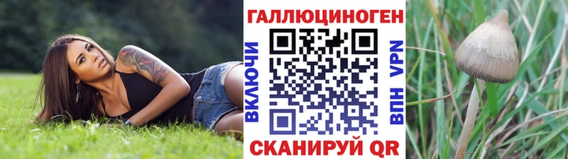 хочу   Агидель  Галлюциногенные грибы MAGIC MUSHROOMS 